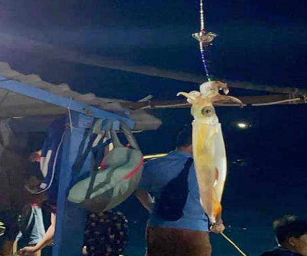 Cham Island Squid Fishing Tours